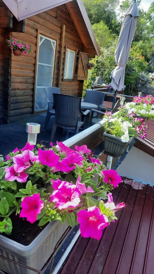 Mali Raj Apartmani Cetinje Exteriör bild